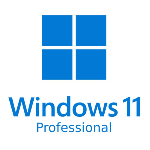 window 11