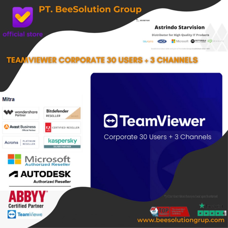 TeamViewer 4